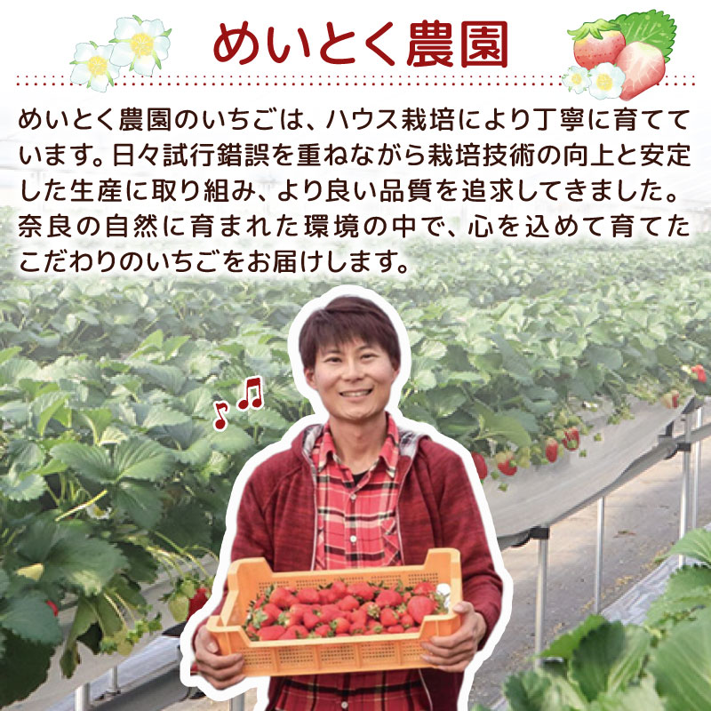 いちご ことか 食べ比べ 2種 計2~4パック 先行予約 2027年発送 古都華 苺 フルーツ 果物 ストロベリー 甘い スイーツ デザート 数量限定 産地直送 冷蔵 ブランド苺 プレゼント ギフト