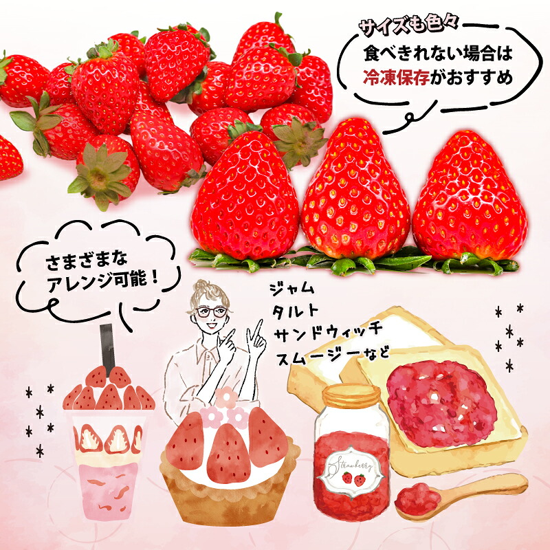 いちご ことか 食べ比べ 2種 計2~4パック 先行予約 2027年発送 古都華 苺 フルーツ 果物 ストロベリー 甘い スイーツ デザート 数量限定 産地直送 冷蔵 ブランド苺 プレゼント ギフト