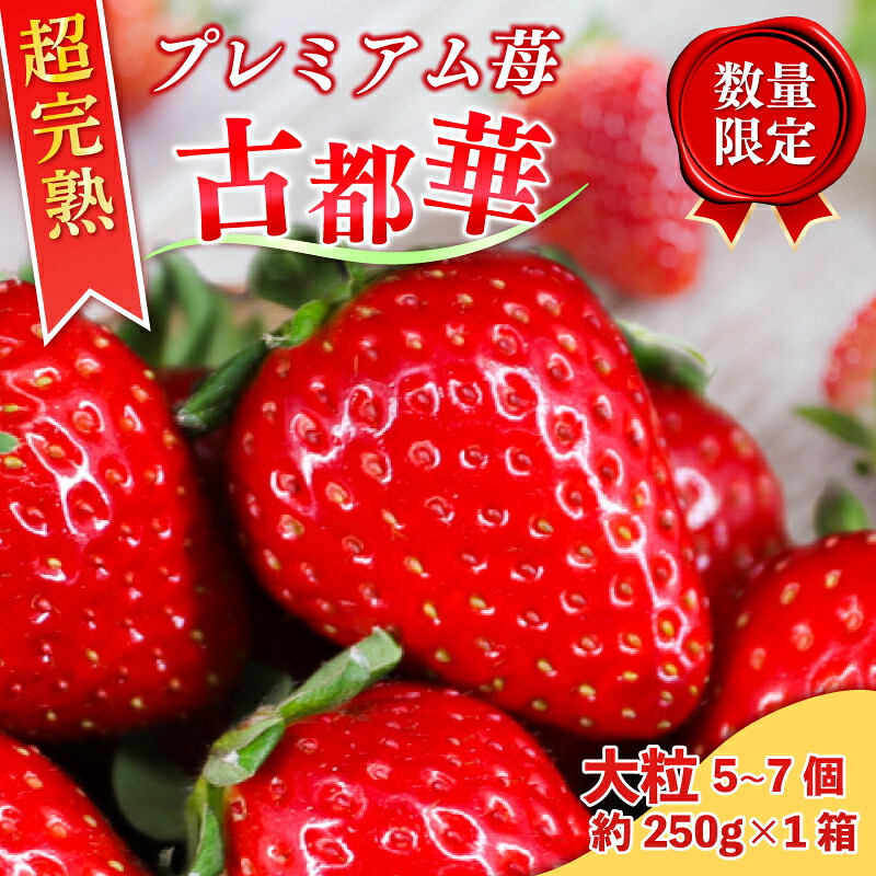 いちご 古都華 大粒 5~7個＋約250g×1箱 セット 冷蔵 いちご ことか 2027年発送 苺 イチゴ 旬 完熟 甘い ストロベリー itigo strawberry 季節限定 人気 国産