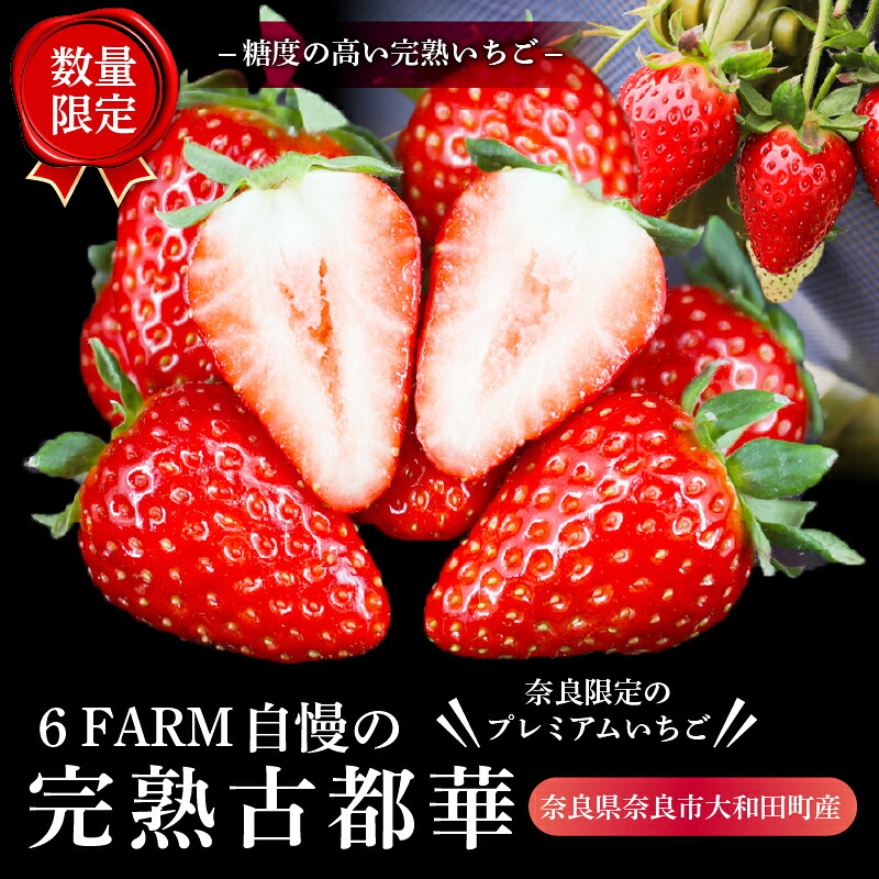 いちご 古都華 大粒 5~7個＋約250g×1箱 セット 冷蔵 いちご ことか 2027年発送 苺 イチゴ 旬 完熟 甘い ストロベリー itigo strawberry 季節限定 人気 国産
