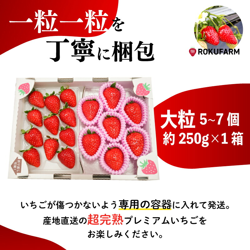 いちご 古都華 大粒 5~7個＋約250g×1箱 セット 冷蔵 いちご ことか 2027年発送 苺 イチゴ 旬 完熟 甘い ストロベリー itigo strawberry 季節限定 人気 国産