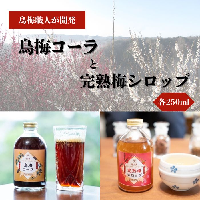 烏梅コーラと完熟梅シロップのセット 梅古庵 奈良県 奈良市 なら 17-004
