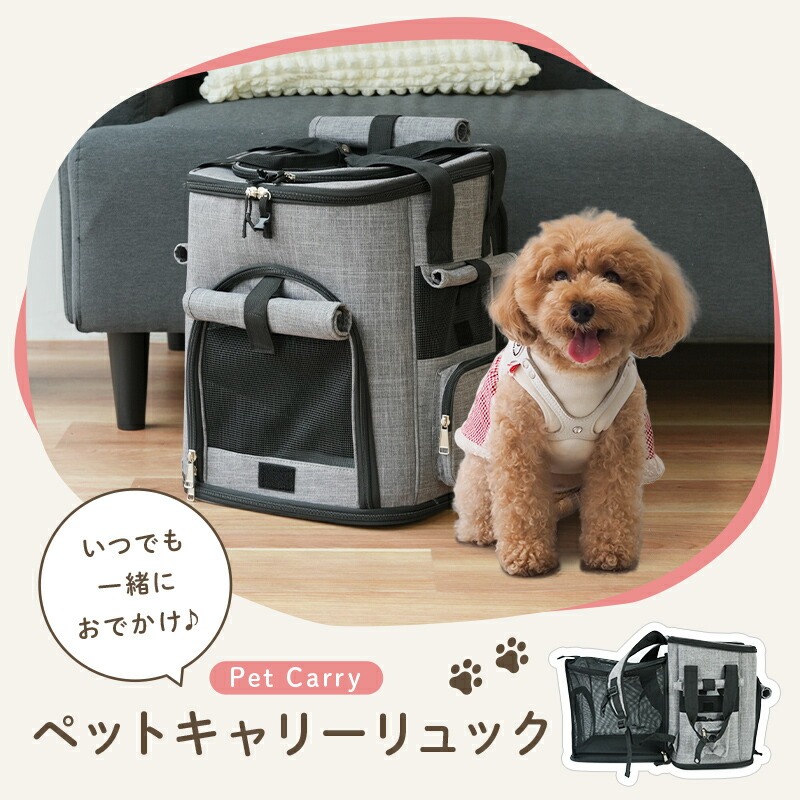 ペットキャリーバッグ 【カラー選べる】 〈ライズクリエイション @Rise〉 ペットキャリーリュック ペットバッグ ペットリュック ペットキャリー リュック バッグ 猫 犬 いぬ ねこ イヌ ネコ 旅