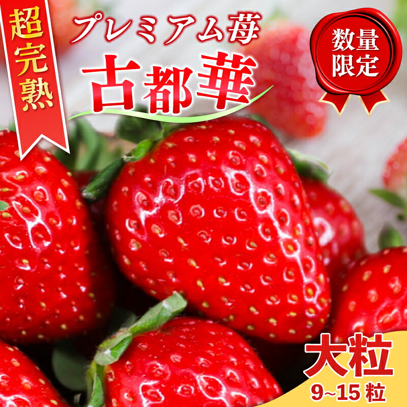 いちご 古都華 大粒 9~15粒 1箱 数量限定 冷蔵 いちご ことか 2027年発送 苺 フルーツ 果物 イチゴ strawberry  数量限定 旬 完熟 人気 国産 ストロベリー itigo