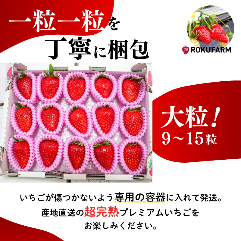 いちご 古都華 大粒 9~15粒 1箱 数量限定 冷蔵 いちご ことか 2027年発送 苺 フルーツ 果物 イチゴ strawberry  数量限定 旬 完熟 人気 国産 ストロベリー itigo