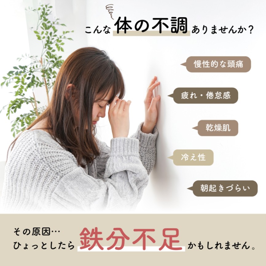 鉄玉 ねこっと 鉄分 補給 簡単 入れるだけ 料理 調理 グッズ キッチン グッズ キッチン用品 調理器具 調理用品 調理器具 日用品 家庭用品 ペーパーウェイト 人気 おすすめ プレゼント ギフト
