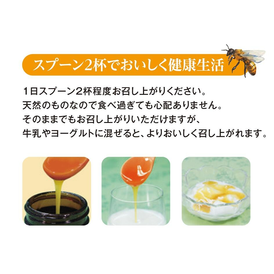 蜂蜜 ローヤルゼリー 『JUN TORII』(ジュントリー)600g 〈株式会社やまと蜂蜜〉 創業77年 老舗ハチミツ屋 やまと蜂蜜 健康 美容 天然 蜂蜜 ローヤルゼリー プロポリス 花粉 奈良