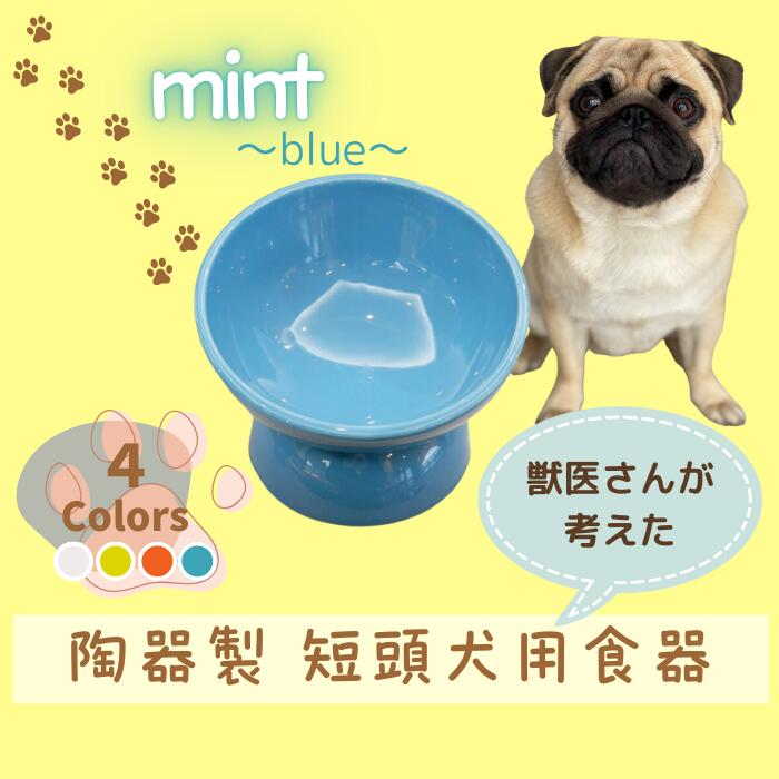 【ペット用品】陶器製 短頭犬用食器　ミント（ブルー） ／CHOB3_536151 奈良県 奈良市 なら 10-094