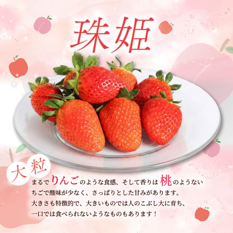 いちご たまひめ 珠姫 2~4パック 先行予約 2027年発送 古都華 苺 イチゴ フルーツ 果物 くだもの ストロベリー 甘い ジューシー スイーツ デザート 数量限定 産地直送 冷蔵 ブランド苺