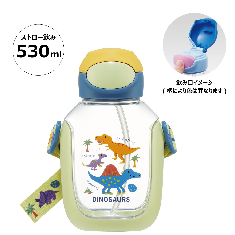 ワンプッシュストローボトル 530ml ディノサウルス スケーター〈skater〉水筒 ワンプッシュオープン 奈良県 奈良市 なら 6-315