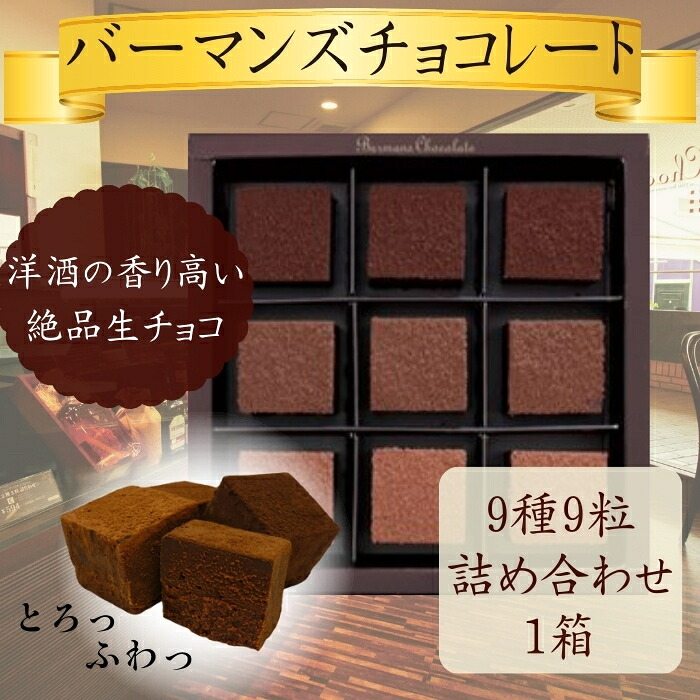 生チョコレート 9種 9粒 詰め合わせ 洋酒入り チョコ 生チョコ デザート スイーツ 洋菓子 高級スイーツ ショコラ クーベルチュール リキュール ブランデー 酒 お酒 ティータイム おやつ お菓子