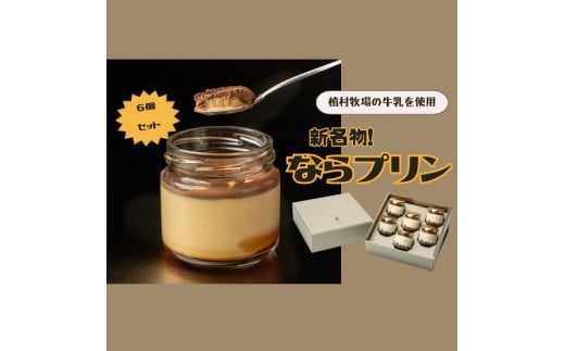新しい新名物!ならプリン誕生!6個セット 濃厚 プリン スイーツ プリン なめらか プリン 食べ比べ プリン 奈良 プリン 洋菓子 こだわり プリン 土産 プリン 冷蔵 プリン 贈り物 プリン