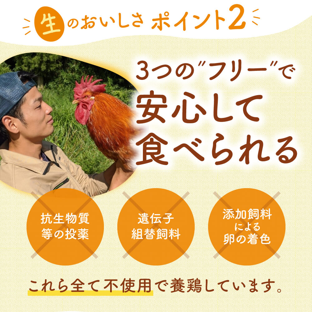 【ふるさと納税】飛鳥の卵（１０個×４箱）定期便６ケ月 たまご 平飼い 卵 玉子 タマゴ 鶏卵 オムレツ 卵かけご飯 たまご焼き たまご 卵 玉子 タマゴ オムレツ 朝食 料理 人気 たまご 卵焼き