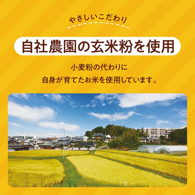 定期グルテンフリー バターチキンカレー 180g×10袋 毎月×10回コース  レトルト パウチ ヒノヒカリ 玄米粉 奈良県 奈良市 なら