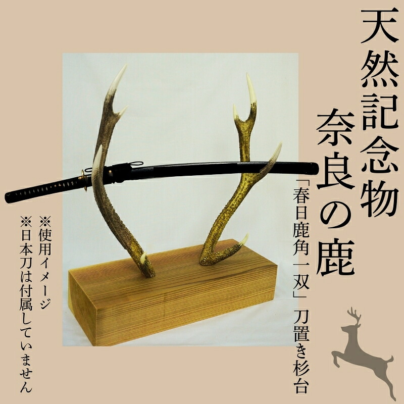 天然記念物奈良の鹿「春日鹿角一双」刀置き杉台 一般財団法人奈良の鹿愛護会 奈良県 奈良市 なら BD-02