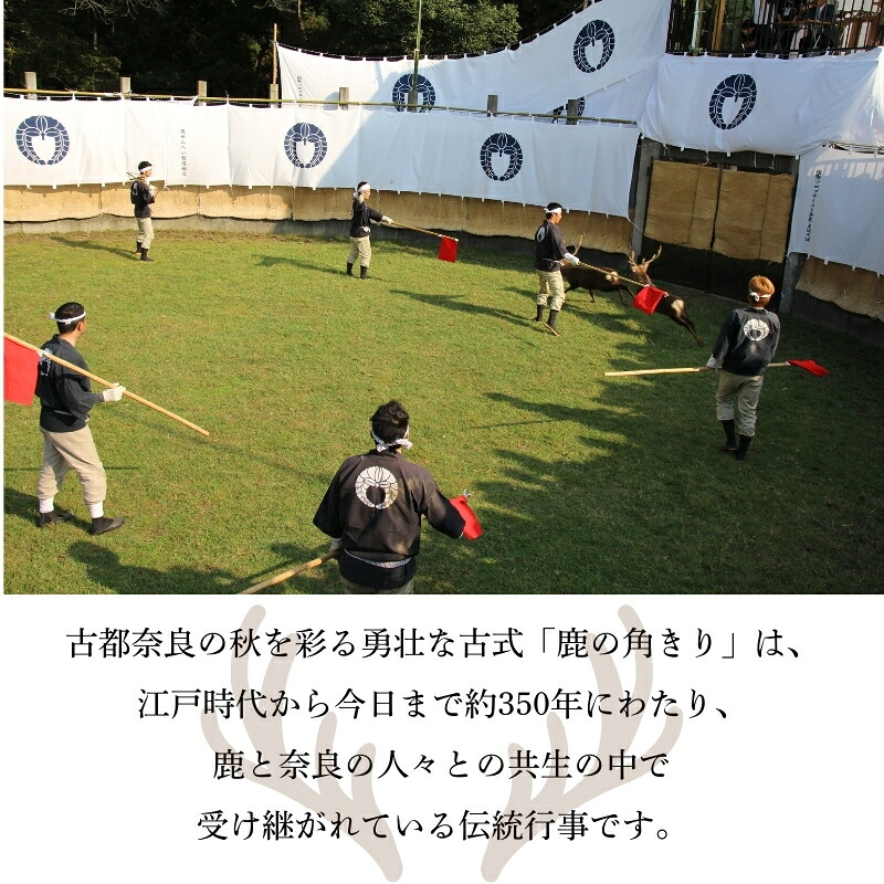 天然記念物奈良の鹿「春日鹿角一双」刀置き杉台 一般財団法人奈良の鹿愛護会 奈良県 奈良市 なら BD-02