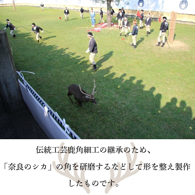 天然記念物奈良の鹿「春日鹿角一双」刀置き杉台 一般財団法人奈良の鹿愛護会 奈良県 奈良市 なら BD-02