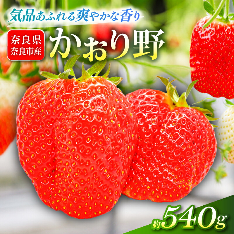 いちご かおり野 約540~1080g 1パック約270g 2~4パック 2027年発送 選べる容量 鶏冠果 サイズ混合 不揃い 数量限定 冷蔵 イチゴ 苺 itigo ichigo