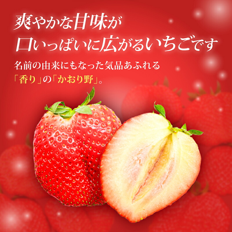 いちご かおり野 約540~1080g 1パック約270g 2~4パック 2027年発送 選べる容量 鶏冠果 サイズ混合 不揃い 数量限定 冷蔵 イチゴ 苺 itigo ichigo