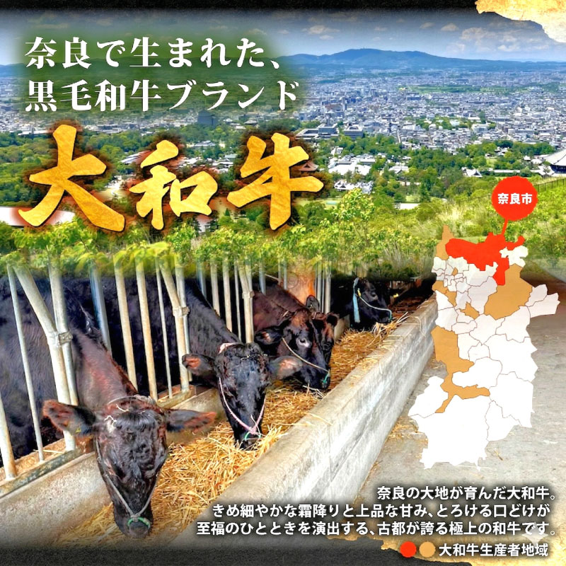 ステーキ 大和牛サーロインステーキ肉 約170g×1~3枚 ステーキ 大和牛 牛肉 黒毛和牛 A5ランク 肉 赤身肉 すてーき サーロインステーキ 国産 国産牛 国産品 厚切り 贈答品 奈良県 奈良市
