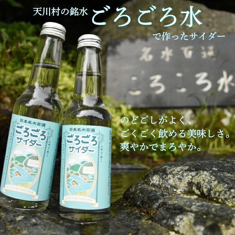 ごろごろサイダー 250ml×1箱（24本入）サイダー 飲料 ご当地サイダー 瓶サイダー ギフト お土産 プレゼント 贈答品 お礼の品 返礼品内祝い ご挨拶 なら 奈良県 奈良市 ftu01