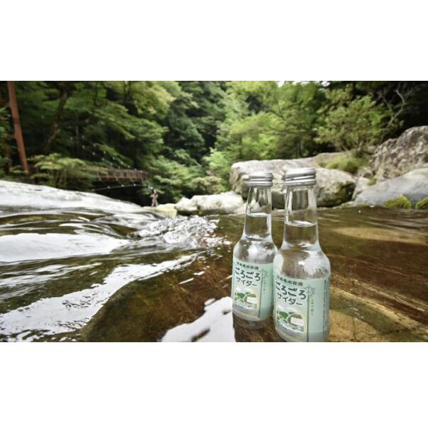 ごろごろサイダー 250ml×1箱（24本入）サイダー 飲料 ご当地サイダー 瓶サイダー ギフト お土産 プレゼント 贈答品 お礼の品 返礼品内祝い ご挨拶 なら 奈良県 奈良市 ftu01