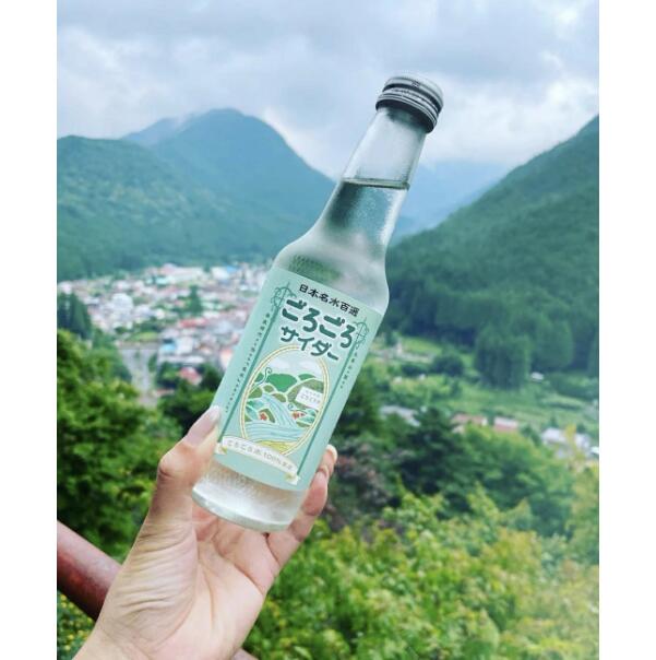 ごろごろサイダー 250ml×1箱（24本入）サイダー 飲料 ご当地サイダー 瓶サイダー ギフト お土産 プレゼント 贈答品 お礼の品 返礼品内祝い ご挨拶 なら 奈良県 奈良市 ftu01