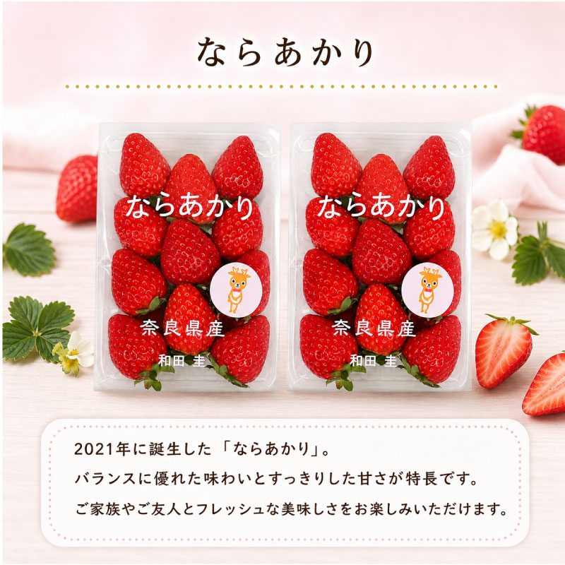 【2027年発送】いちご イチゴ ならあかり 約520g～1040g 260g×2P 260g×4P 先行予約 苺 ブランド 月 旬 産地 農場 直送 フレッシュ スイーツ スムージー フルーツ 果物