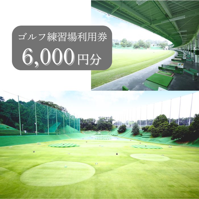 ゴルフ練習場利用券【6,000円分】 佐保ゴルフクラブ ゴルフ ゴルフ場 ゴルフ場利用券 練習 打ちっ放し ドライバー アイアン フェアウェイ パッティンググリーン 父の日 奈良県 奈良市 奈良 なら