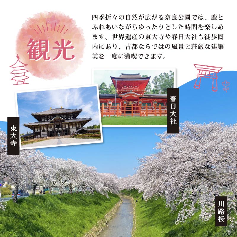 夢窓庵 山ぶどうワイン「月日星」1~3本ワイン 赤ワイン 山ぶどう ブドウ 葡萄 お酒 酒 ワイン お酒 日本ワイン お酒 人気 推奨 おまかせ ワイン フルボトル ワイン パーティー ワイン 家庭用