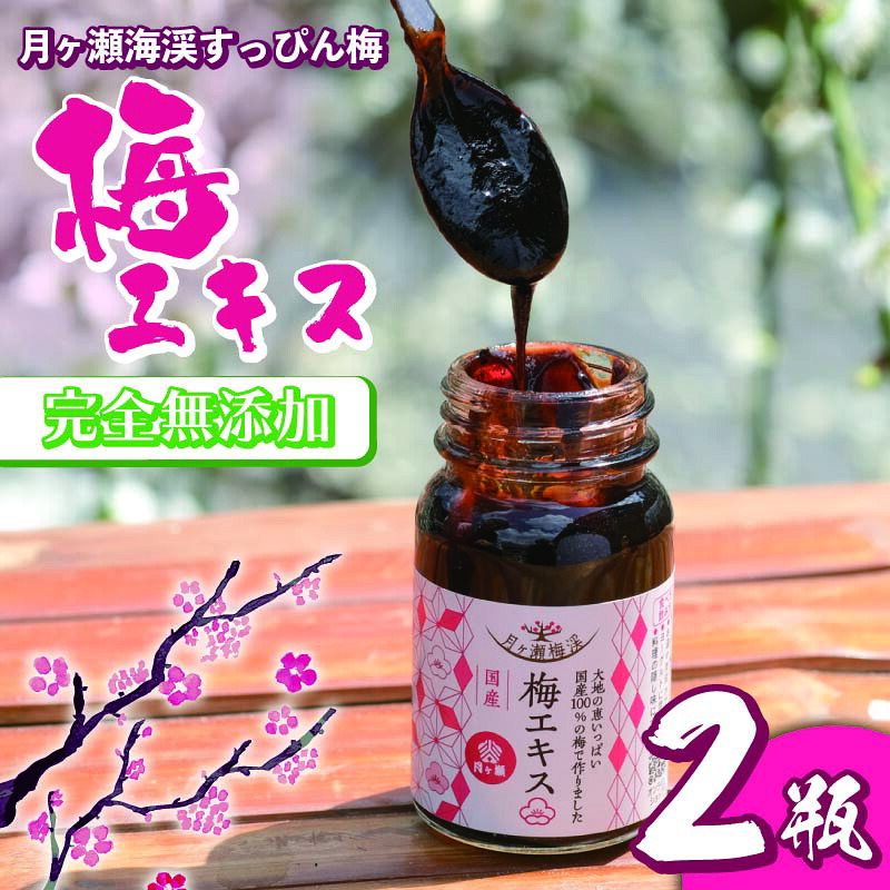梅エキス65g×2本 無添加 青梅果汁のみ使用 月ヶ瀬梅渓名産月ヶ瀬梅渓名産 奈良県 奈良市H-91