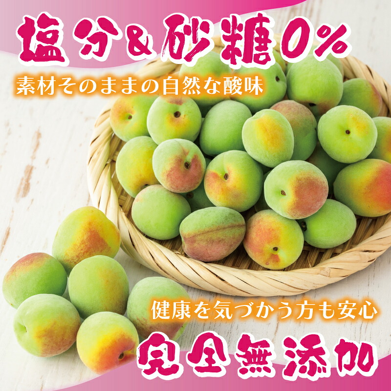 梅エキス65g×2本 無添加 青梅果汁のみ使用 月ヶ瀬梅渓名産月ヶ瀬梅渓名産 奈良県 奈良市H-91