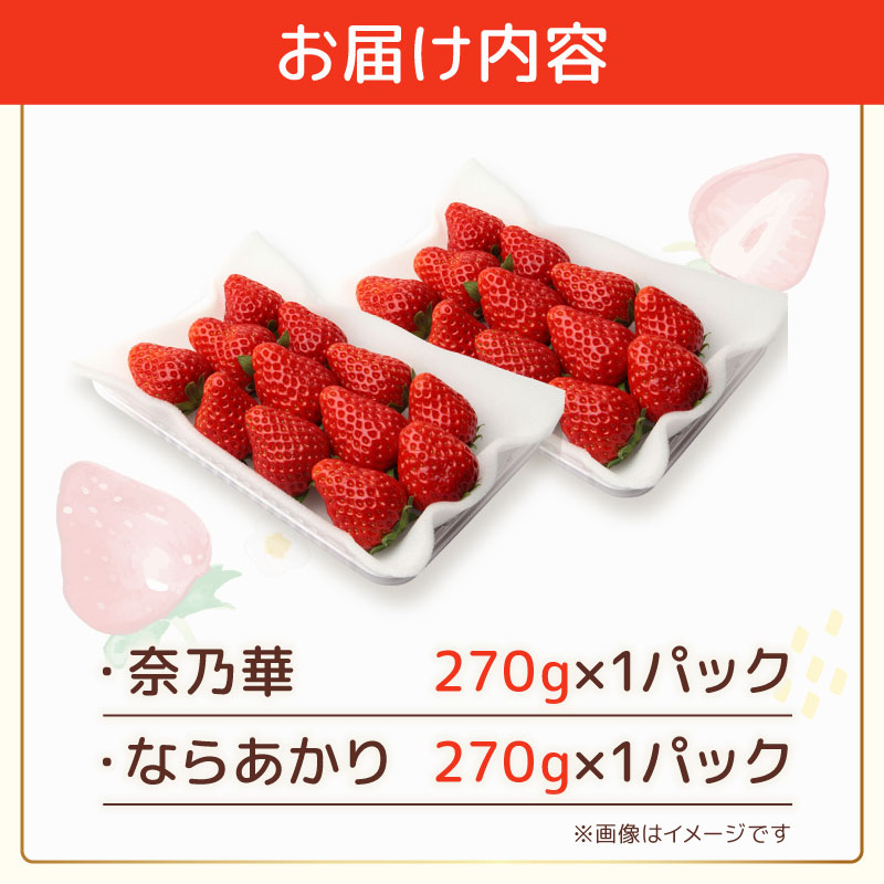 いちご 選べる 奈乃華 ならあかり 古都華 2027年 発送(270g×2パック) 予約受付中 数量限定 早期終了 予定あり 家庭用 いちご イチゴ 苺 奈良ブランド苺 イチゴ ブランド 古都華 大粒