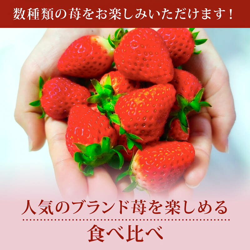 いちご 選べる 奈乃華 ならあかり 古都華 2027年 発送(270g×2パック) 予約受付中 数量限定 早期終了 予定あり 家庭用 いちご イチゴ 苺 奈良ブランド苺 イチゴ ブランド 古都華 大粒