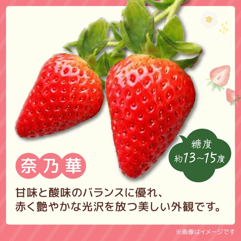 いちご 選べる 奈乃華 ならあかり 古都華 2027年 発送(270g×2パック) 予約受付中 数量限定 早期終了 予定あり 家庭用 いちご イチゴ 苺 奈良ブランド苺 イチゴ ブランド 古都華 大粒