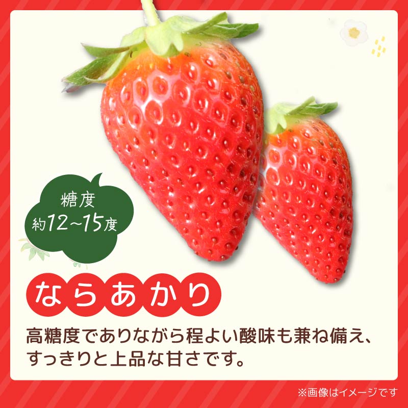 いちご 選べる 奈乃華 ならあかり 古都華 2027年 発送(270g×2パック) 予約受付中 数量限定 早期終了 予定あり 家庭用 いちご イチゴ 苺 奈良ブランド苺 イチゴ ブランド 古都華 大粒