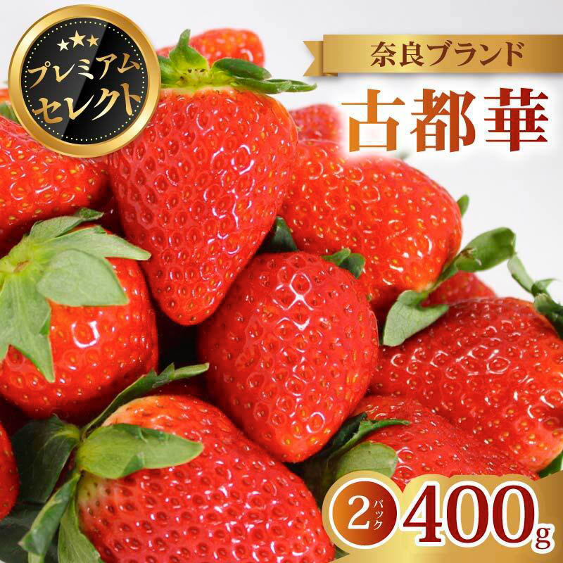 いちご 古都華 プレミアム セレクト 2027年 発送(400g×2パック) 贈与用 予約受付中 数量限定 早期終了 予定あり いちご イチゴ 先行予約 いちご 苺 奈良ブランド苺 イチゴ ブランド