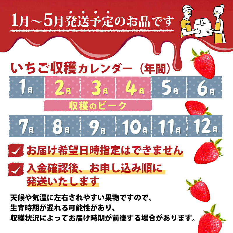 いちご 古都華 プレミアム セレクト 2027年 発送(400g×2パック) 贈与用 予約受付中 数量限定 早期終了 予定あり いちご イチゴ 先行予約 いちご 苺 奈良ブランド苺 イチゴ ブランド