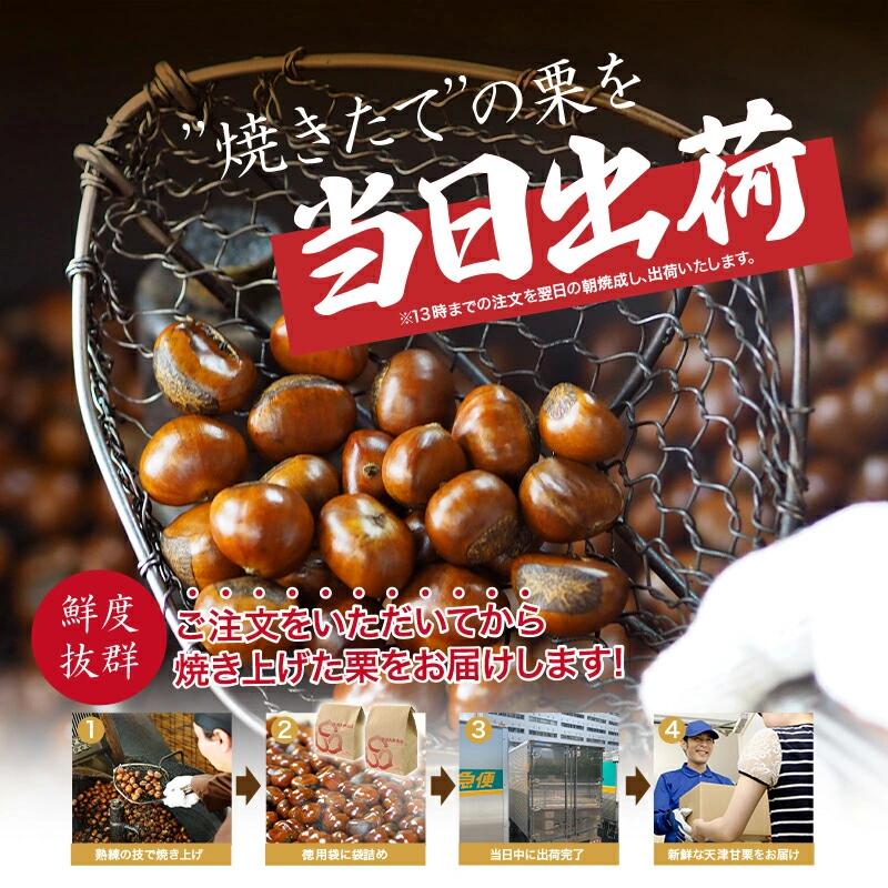 甘栗 天津甘栗 1.2kg～2.5kg 殻付き 栗 徳用 無添加 保存料不使用 クリ 焼き栗 栗爪 焼栗 常温 お取り寄せ 無着色 洋菓子 和菓子 おつまみ おやつ 栗きんとん 栗ごはん ご飯 甘露煮