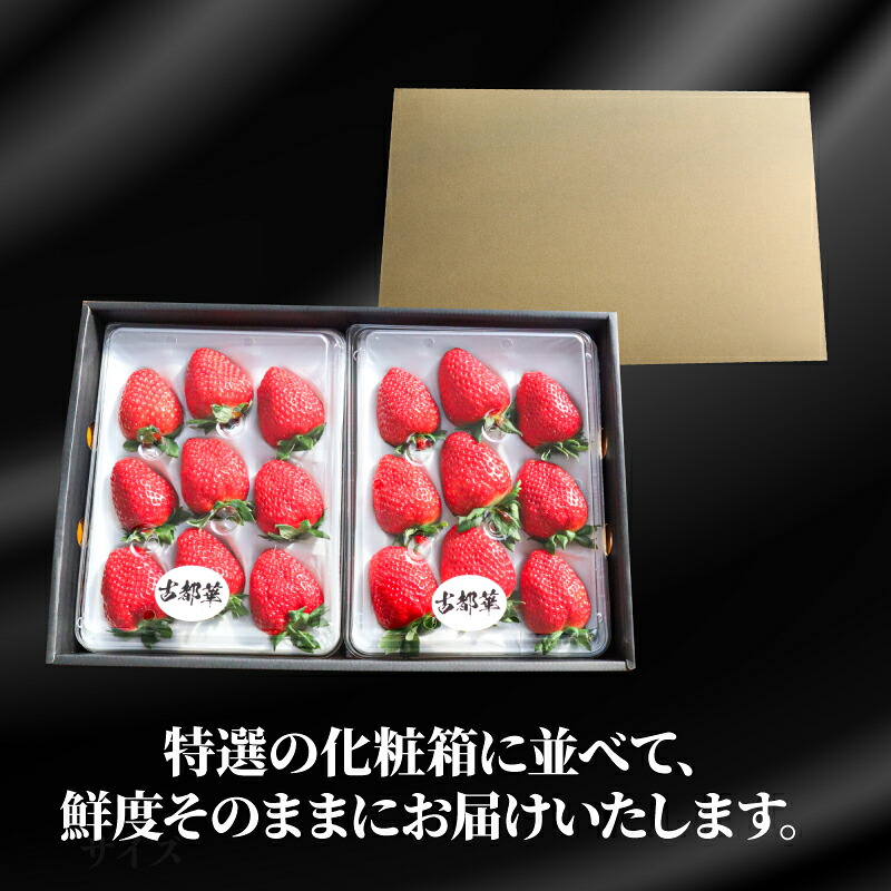 いちご 古都華 大粒 ことか 18~24粒 1セット 4~5Lサイズ 古都華 化粧箱 数量限定 苺 イチゴ 季節限定 旬  完熟 大粒 フルーツ 果物 スイーツ スムージー ケーキ 産地直送 新鮮