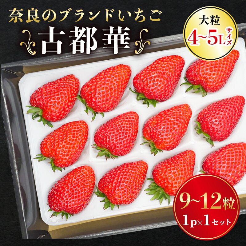 いちご 古都華 大粒 ことか 9~12粒 1~3セット 4~5Lサイズ 古都華 選べる容量 化粧箱 数量限定 苺 イチゴ ストロベリー 季節限定 先行予約 2027年発送 旬 完熟 大粒 フルーツ