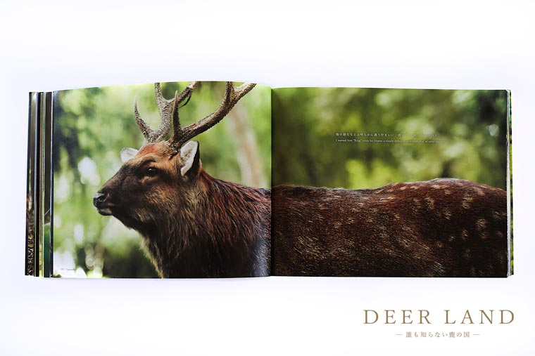 奈良の鹿 写真集「DEER LAND 誰も知らない鹿の国」佐藤和斗 シカ しか 奈良公園 奈良県 奈良市 I-192