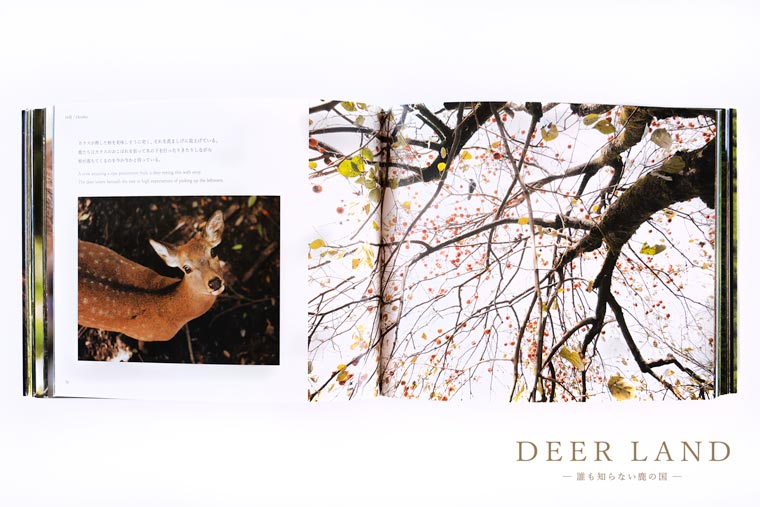 奈良の鹿 写真集「DEER LAND 誰も知らない鹿の国」佐藤和斗 シカ しか 奈良公園 奈良県 奈良市 I-192