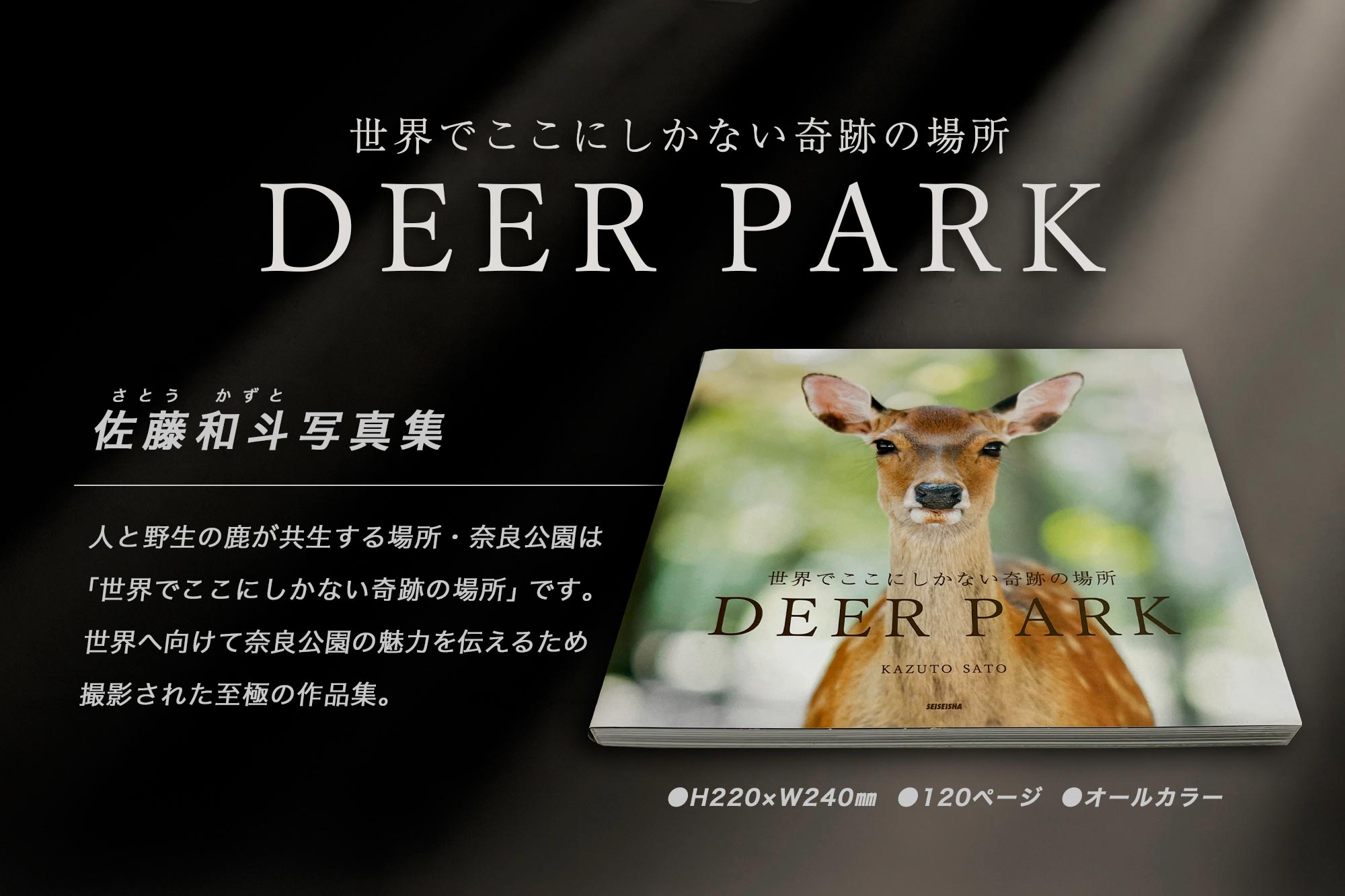 奈良の鹿 写真集「DEER PARK 世界でここにしかない奇跡の場所」シカ しか 奈良公園 奈良県 奈良市 I-193
