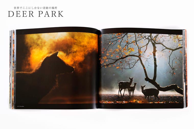 奈良の鹿 写真集「DEER PARK 世界でここにしかない奇跡の場所」シカ しか 奈良公園 奈良県 奈良市 I-193