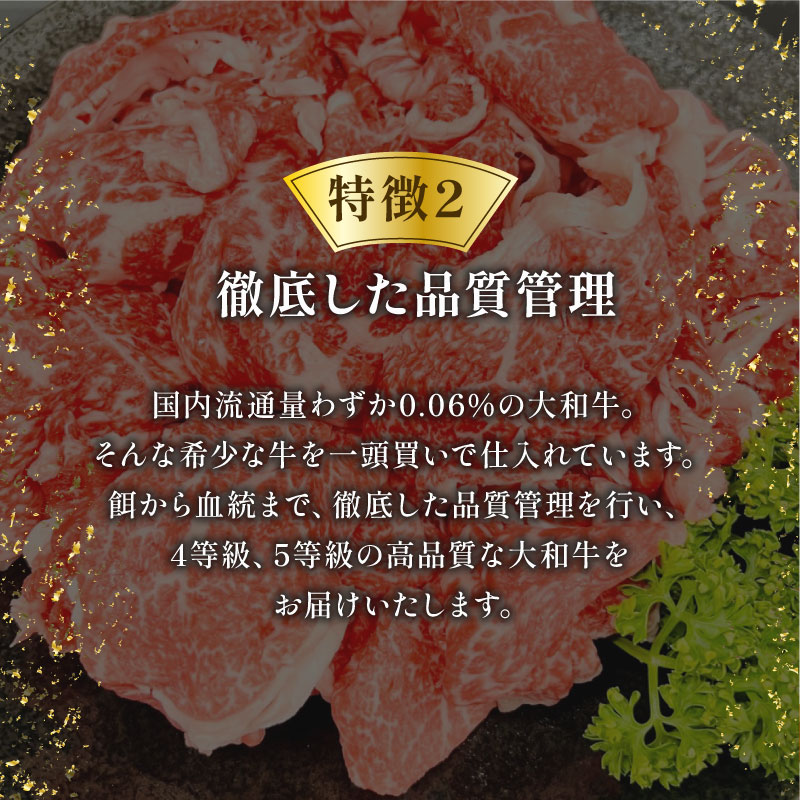 牛肉 切り落とし 大和牛 600g 4~5人前 小分け 黒毛和牛 牛肉 大和牛 しゃぶしゃぶ すき焼き 国産牛 和牛 国産 お肉 肉 こま切れ 細切れ すき焼き肉 しゃぶしゃぶ肉 霜降り 希少