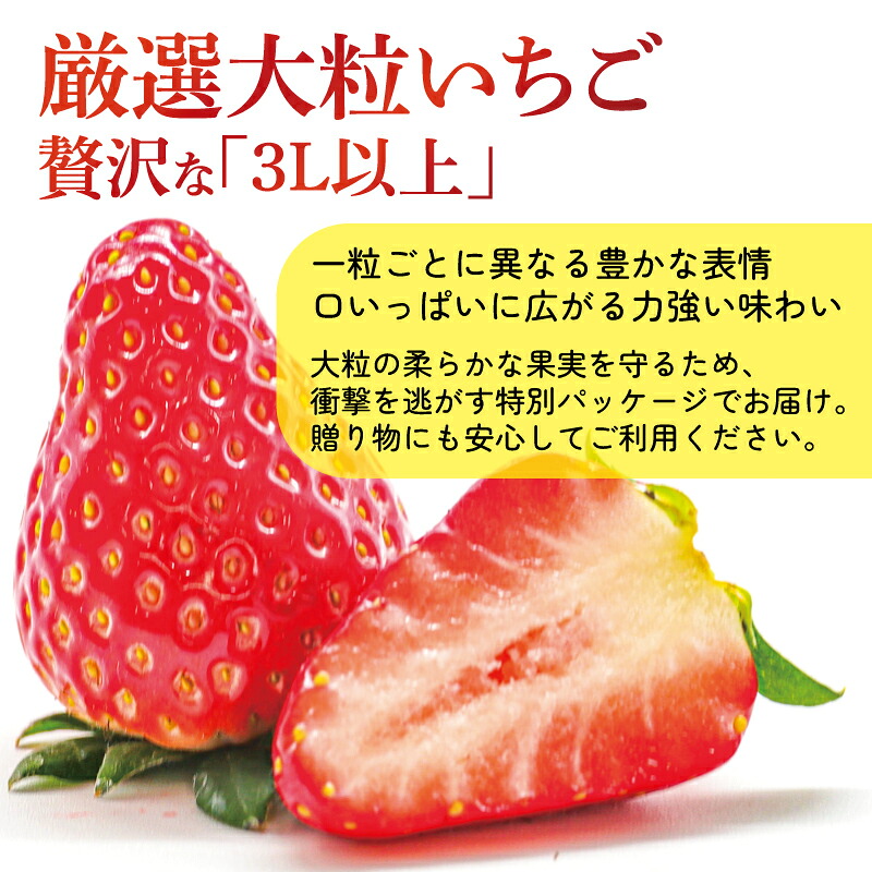 いちご ことか 約270g×2～4パック 先行予約 2027年発送 選べる容量 選べるサイズ 古都華 大粒 サイズ混合 数量限定 産地直送 春 旬 国産 冷蔵 イチゴ 苺 itigo ichigo