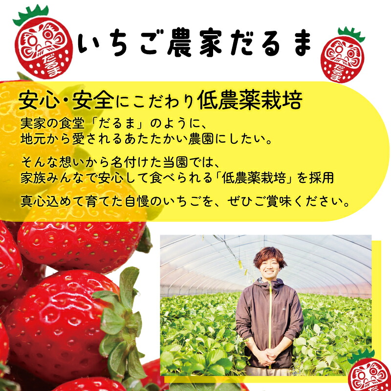 いちご ことか 約270g×2～4パック 先行予約 2027年発送 選べる容量 選べるサイズ 古都華 大粒 サイズ混合 数量限定 産地直送 春 旬 国産 冷蔵 イチゴ 苺 itigo ichigo