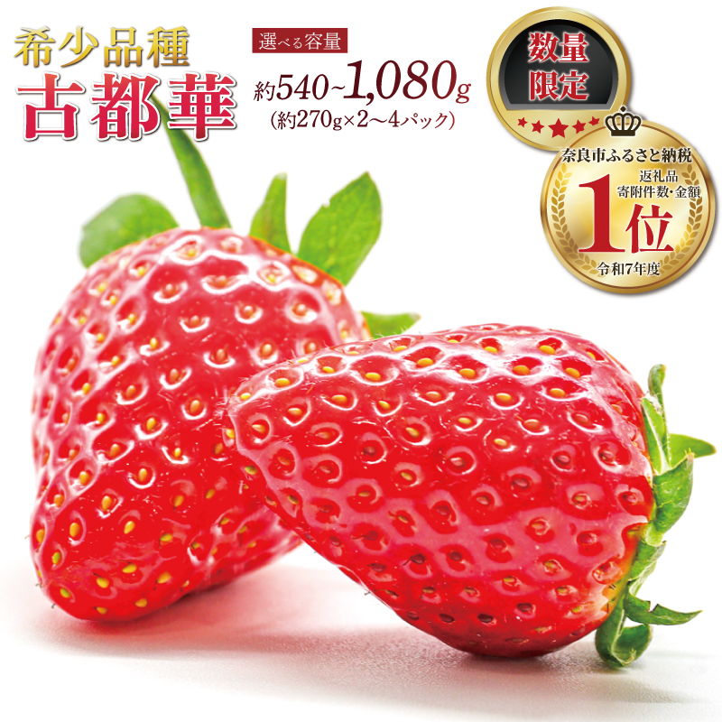 いちご ことか 約270g×2～4パック 先行予約 2027年発送 選べる容量 選べるサイズ 古都華 大粒 サイズ混合 数量限定 産地直送 春 旬 国産 冷蔵 イチゴ 苺 itigo ichigo