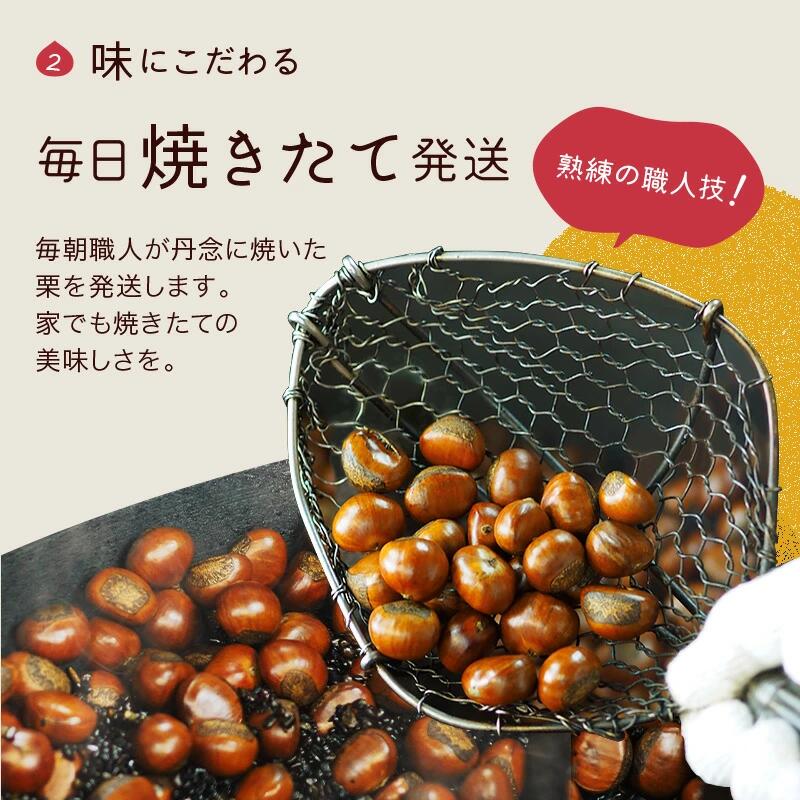 甘栗 天津甘栗 150g~500g 殻付き 栗 真空 無添加 保存料不使用 クリ 焼き栗 栗爪 焼栗 小分け お試し 常温 お取り寄せ 無着色 洋菓子 和菓子 おつまみ おやつ 栗きんとん 栗ごはん